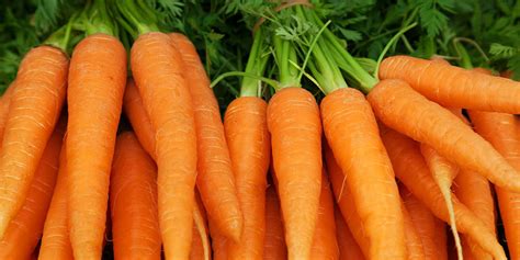 Why Carrots Are The Essential Superfood Zenb