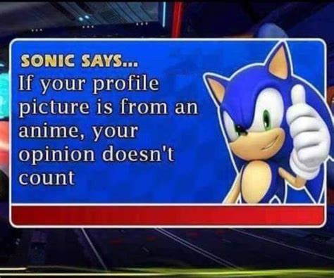 Sonic Says If Your Profile Picture Is From An Anime Your Opinion