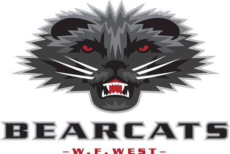 New Bearcat Logo Is Here To Stay — For Now The Daily Chronicle