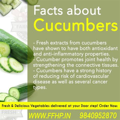 Facts About Cucumber Healthy Facts Fruit Benefits Health And Nutrition