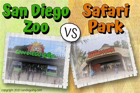 13 San Diego Zoo Vs Safari Park Differences Which Is Best Sandiegoing