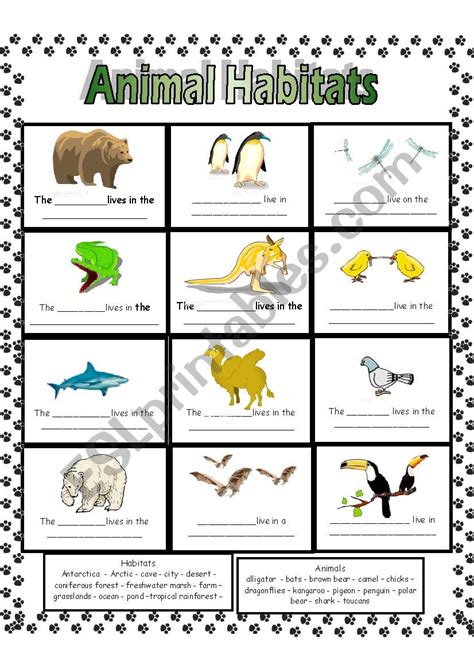 Animal And Their Habitats Worksheets