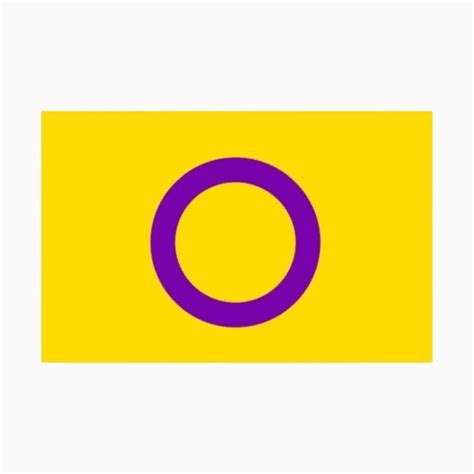 Intersex Pride Flag Twin Cities Pride