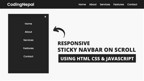 Responsive Sticky Navigation Bar Using Html Css Javascript Hot Sex Picture