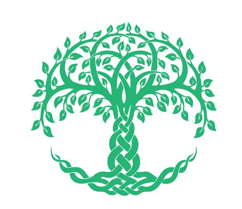 Celtic Tree Of Life Symbol Meaning And Symbolism