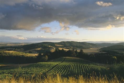 Wine Maps Willamette Valley — Oregon Enobytes
