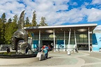 The Vancouver Aquarium: The Complete Guide