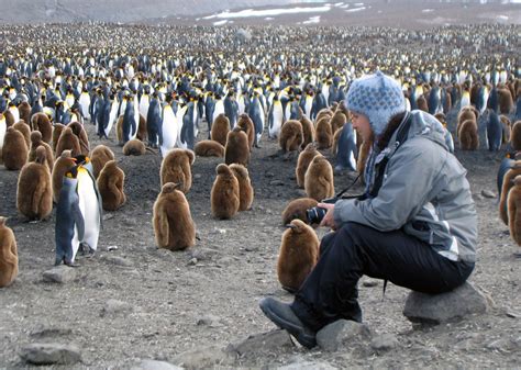 South Georgia And The South Sandwich Islands Travel Guide
