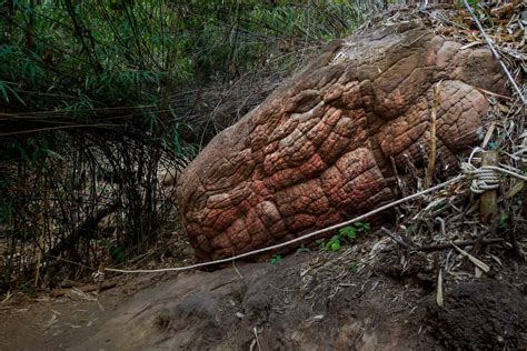 Discover The Snake Rock In Thailand Is It Really A Massive Fossil