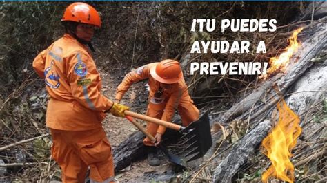 Guía Para Prevenir Incendios Forestales Según La Defensa Civil Magdalena