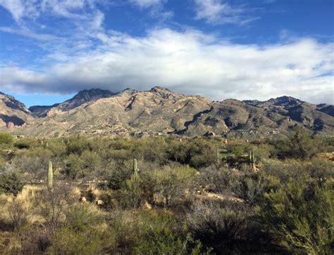 The Surprising Story Of The Catalina Foothills Tucson Az