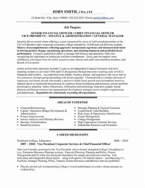20 Chief Financial Officer Resume Executive Resume Template