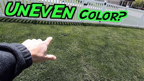 Maybe you would like to learn more about one of these? Lime Green Grass // What's WRONG with my LAWN?! | Uneven ...