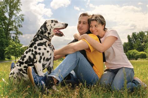 Learn About The Dalmation Dog Breed From A Trusted