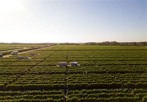 Our Farms - Sustainable & Fresh | Lipman Family Farms