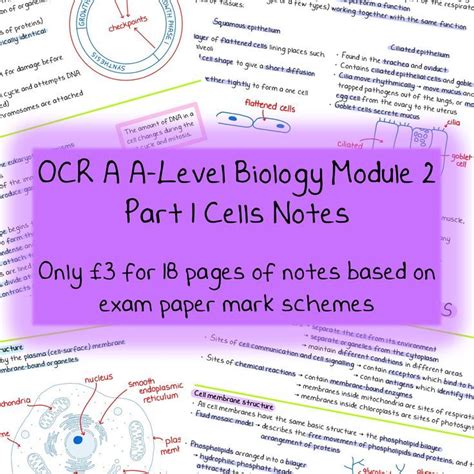 Ocr A A Level Biology Notes Cells Module 2 Part 1 Biology Notes