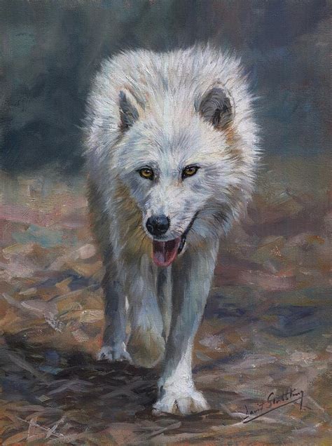 Arctic Wolf Painting By David Stribbling Pixels