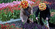 Tulipomania - Guiarte | Visitas guiadas por Amsterdam
