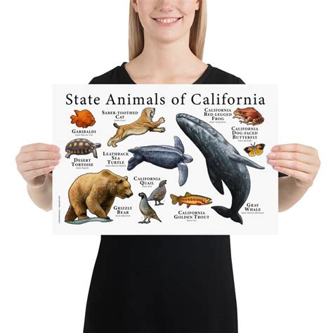 California State Animals Poster Print Etsy