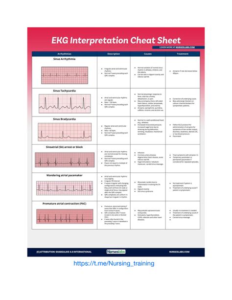 Solution Ekg Interpretation Cheat Sheet Studypool