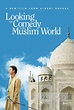 Watch Looking for Comedy in the Muslim World on Netflix Today ...