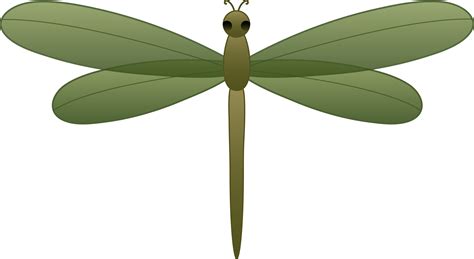 Dragonfly Png Clipart Free Logo Image