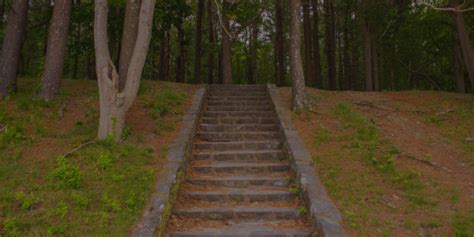 Staircases In The Woods Ep 49 Believing The Bizarre