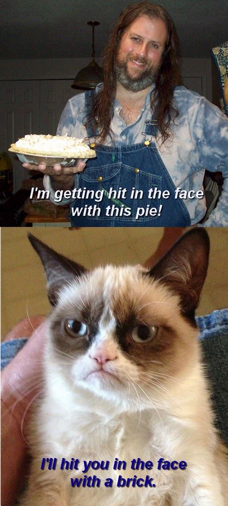 Grumpy Cat I I Contribute To The Meme Of The Day I Don