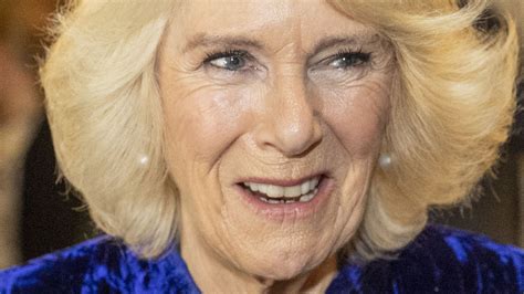 How Camilla Parker Bowles Popularity Has Fared Since The Queens Big