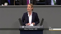 Alice Weidel´s AFD 1. Rede zum ersten AfD Antrag im Bundestag! - YouTube