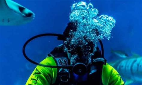 How Dangerous Is Scuba Diving Xploredive