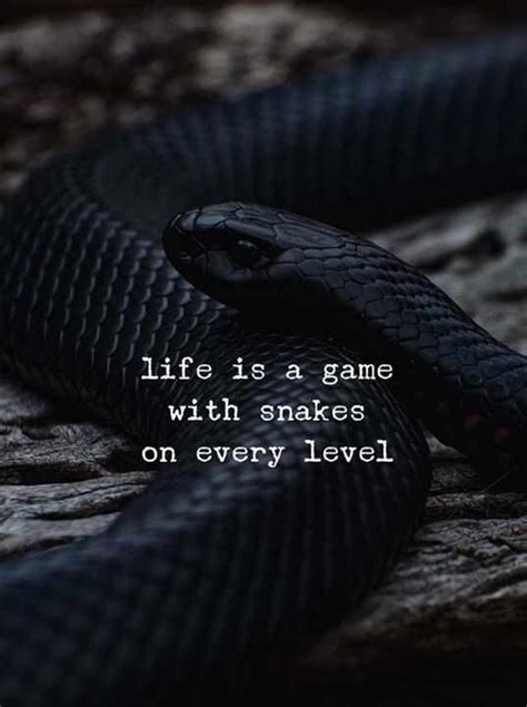 Top 30 Quotes And Sayings About Snakes