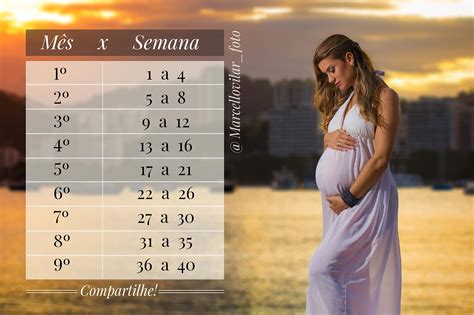 Ate Quantas Semanas Vai Uma Gestação