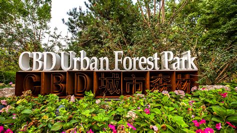 Beijings Cbd Opens Its First Urban Forest Park Cgtn