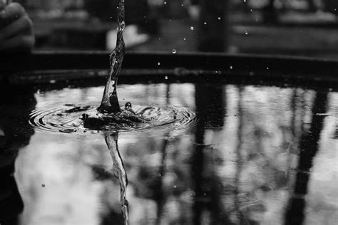 Free Images Snow Winter Black And White Ice Reflection Weather