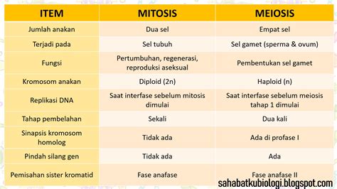 Tabel Perbedaan Pembelahan Mitosis Dan Meiosis Images And Photos Finder