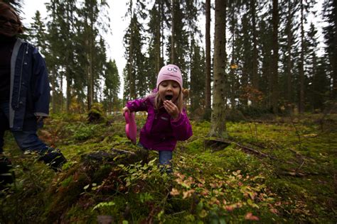 Biohacking Journeys Into Finnish Forests Thisisfinland