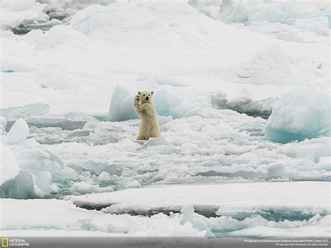21 Of The Best Nature Photo Entries To The 2014 National Geographic