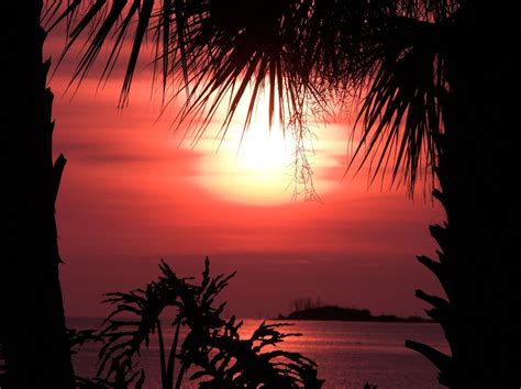 Orange Sunset Palm Trees Free Photo On Pixabay Pixabay