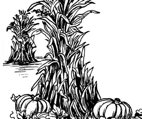 6 Thanksgiving Pumpkin Clipart Clip Art Art Graphics Fairy