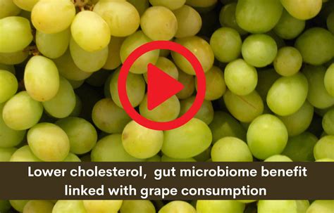 Lower Cholesterol Gut Microbiome Benefit Linked With Grape Consumption
