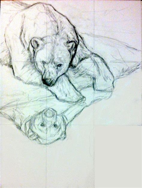 Polar Bear Sketch By Bisanti On Deviantart Bear Sketch Polar Bear