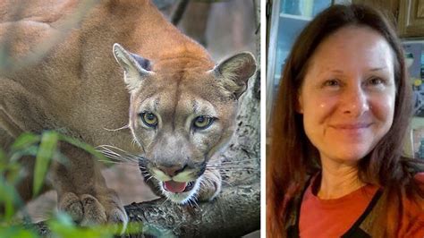 Mountain Lioncougar Stalks Man For 6 Minutes During Run Page 2