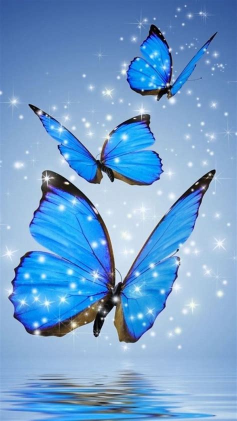 Blue Butterfly Backgrounds