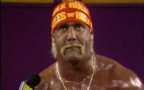 Hulk Hogan Allegedly Got Wwe Legend Fired From The Company