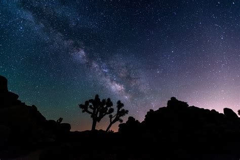 Joshua Tree National Park Is Certified As An International Dark Sky