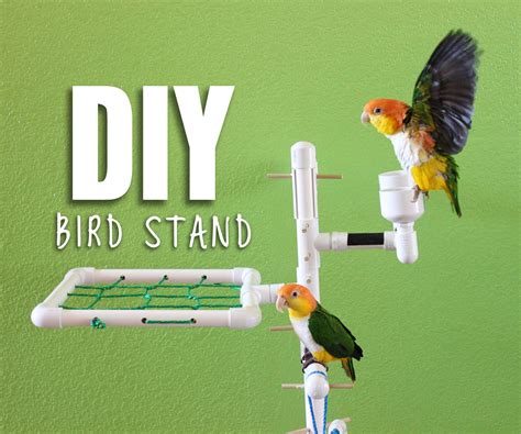 Diy Bird Stand 8 Steps With Pictures Instructables
