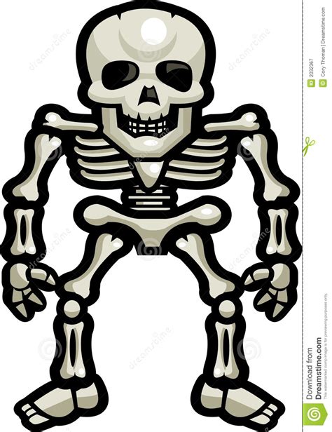 Human Skeleton Clipart Free Download On Clipartmag