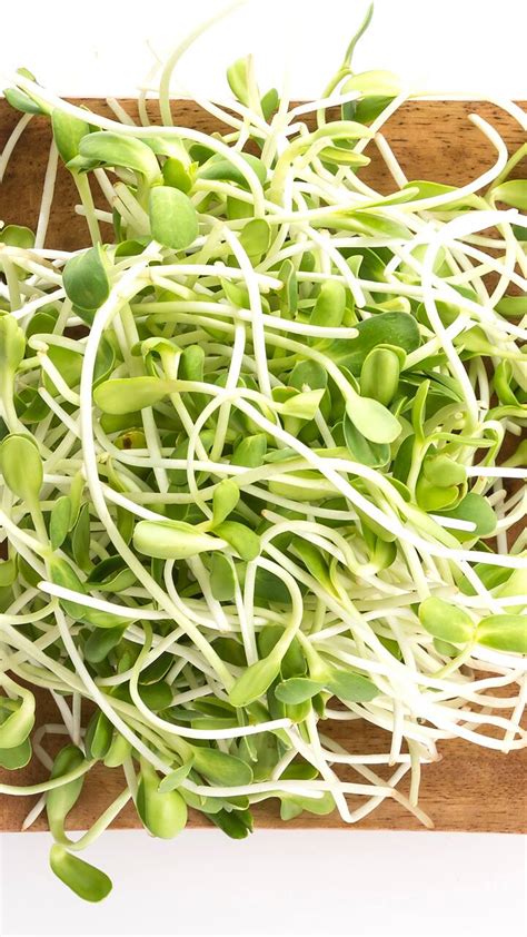 8 Pros And Cons Of Eating Raw And Cooked Sprouts