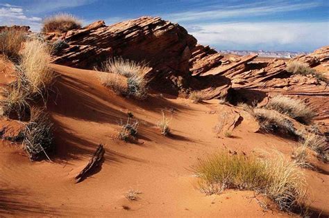 Biomes are a way to divide the earth's surface. Desert Biome